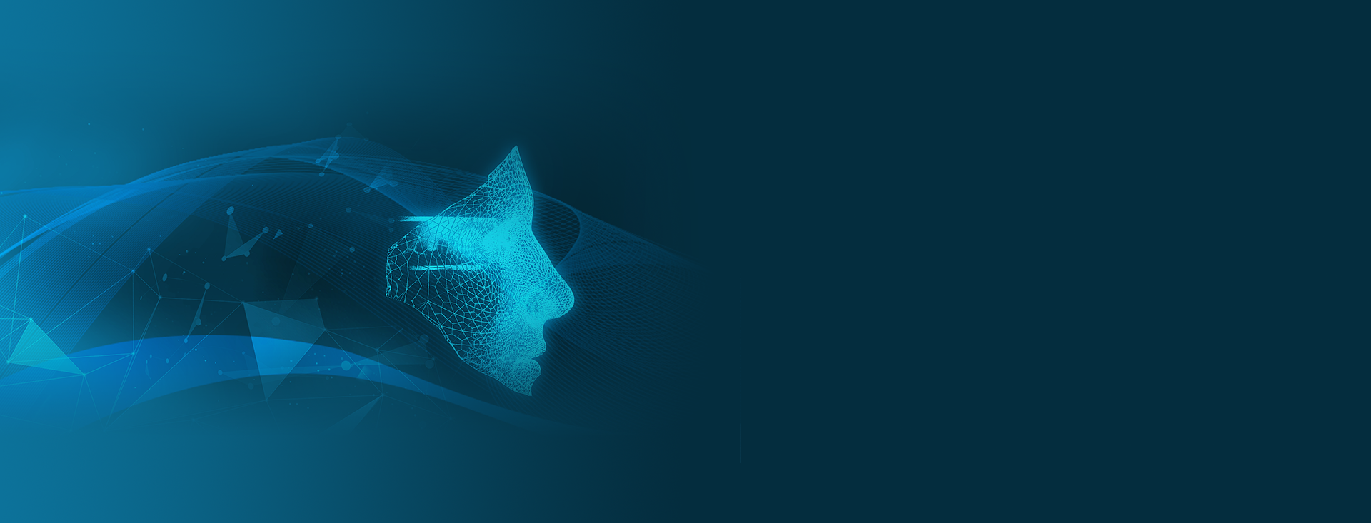 CKVisionApp功能背景